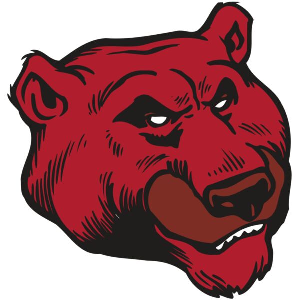 AR BEAR 10 RC Thumbnail